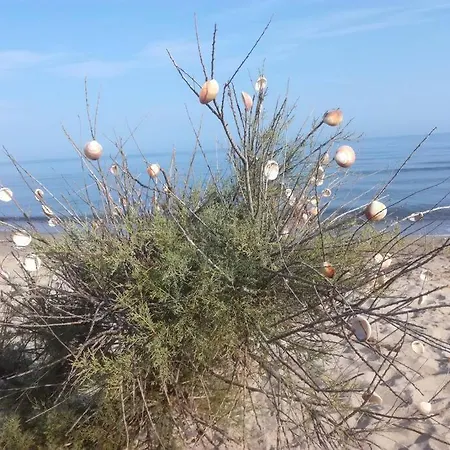 In S'oru De Su Mare. Sulla Spiaggia Veranda, Giardino, Tramonti. Wi-fi Semesterbostad