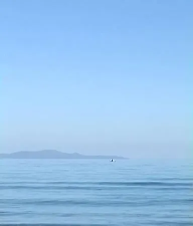In S'oru De Su Mare. Sulla Spiaggia Veranda, Giardino, Tramonti. Wi-fi Semesterbostad Sorso